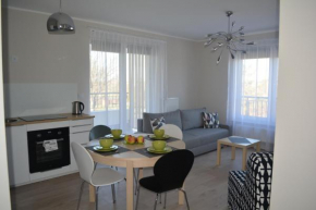 Гостиница Rezydencja Ustronie - Apartament Sloneczny  Устроне-Морске
